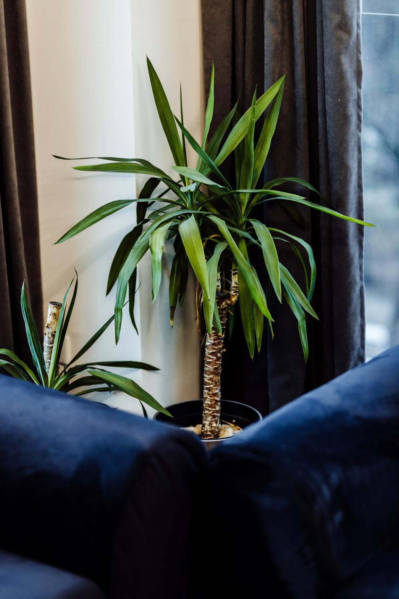 Apartamenty Arte Lublin Unia Art Residence 121- Faktura Vat Garaz 外观 照片